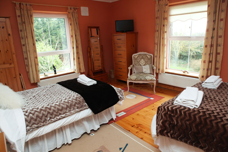 Newlands Lodge Bed and Breakfast, Kilkenny Bed
